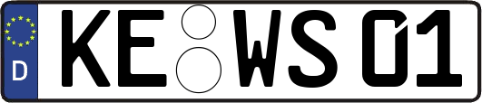 KE-WS01