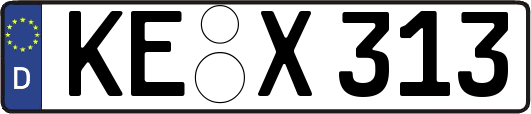 KE-X313
