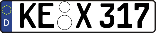 KE-X317