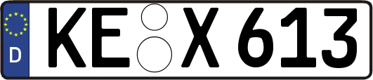 KE-X613