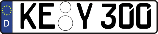 KE-Y300