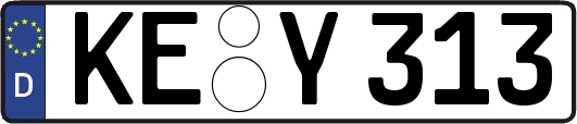 KE-Y313