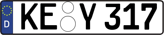 KE-Y317