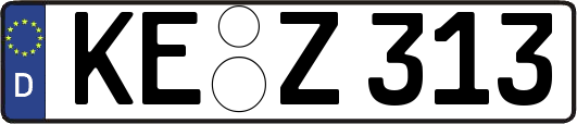 KE-Z313