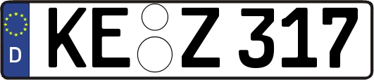 KE-Z317