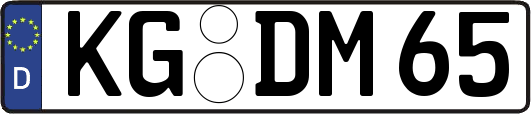 KG-DM65