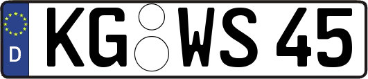 KG-WS45