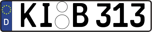 KI-B313