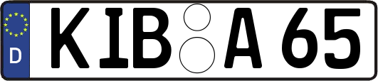 KIB-A65