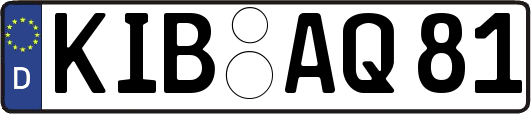 KIB-AQ81
