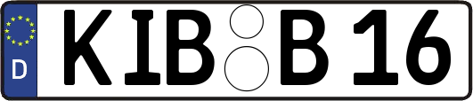 KIB-B16