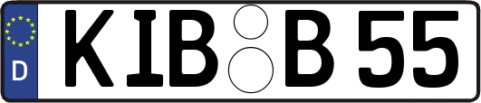 KIB-B55