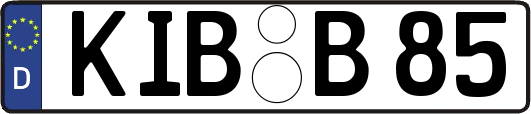 KIB-B85