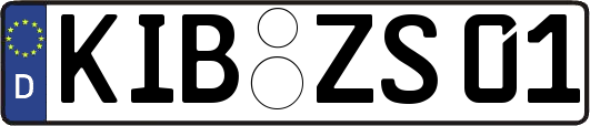 KIB-ZS01