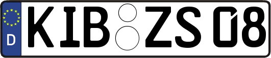 KIB-ZS08