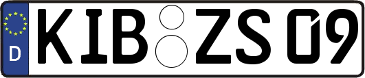 KIB-ZS09