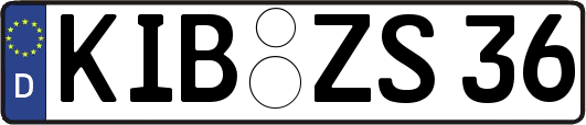 KIB-ZS36