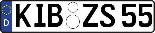 KIB-ZS55