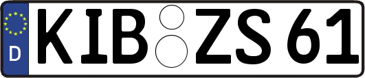 KIB-ZS61