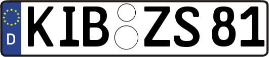 KIB-ZS81