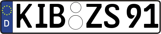 KIB-ZS91
