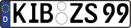 KIB-ZS99
