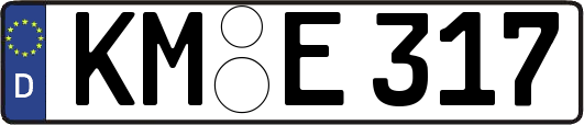 KM-E317