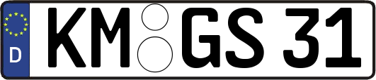 KM-GS31