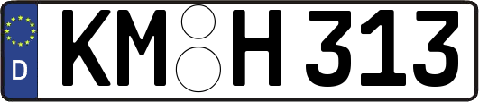 KM-H313