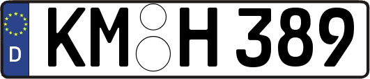 KM-H389