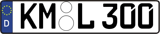 KM-L300