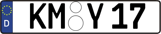 KM-Y17