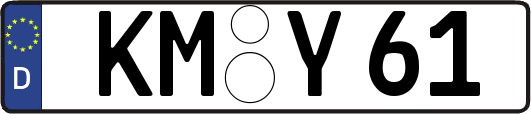 KM-Y61