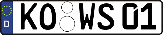 KO-WS01