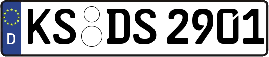 KS-DS2901
