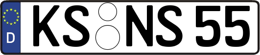 KS-NS55