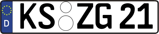 KS-ZG21