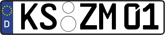 KS-ZM01