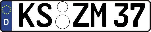 KS-ZM37