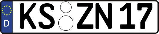 KS-ZN17