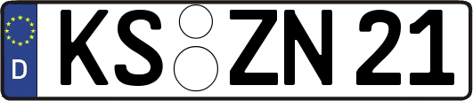 KS-ZN21