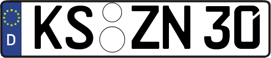 KS-ZN30