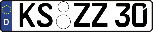 KS-ZZ30