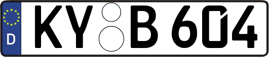 KY-B604