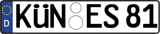 KÜN-ES81