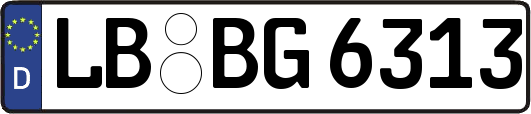 LB-BG6313