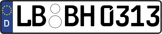 LB-BH0313