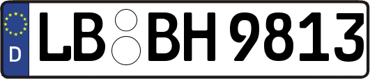 LB-BH9813