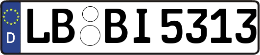 LB-BI5313