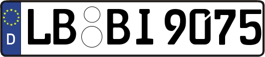 LB-BI9075